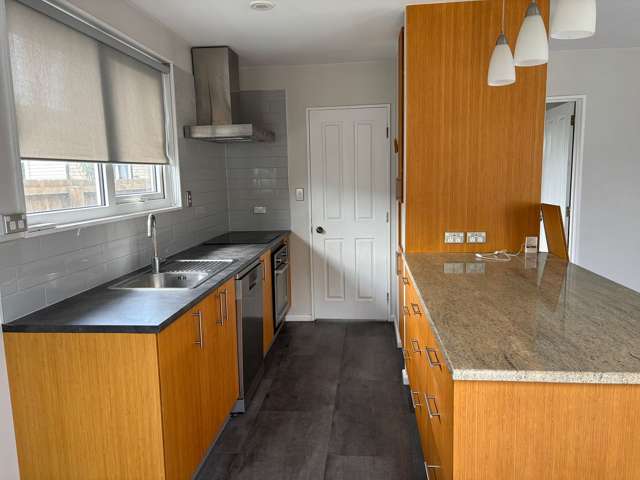 31 Wellington Street Phillipstown_2