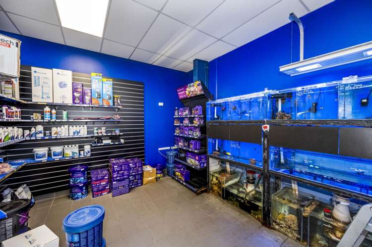 10/2 Tawa Drive Albany_8