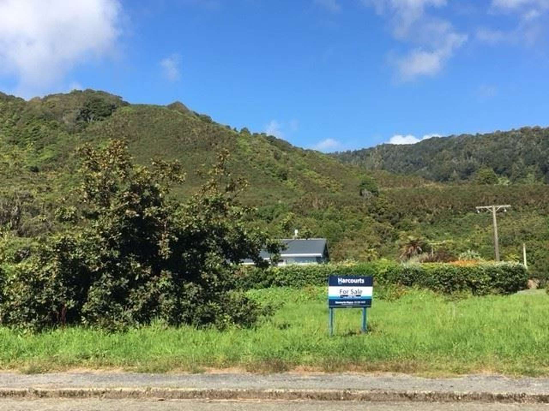 19 Corbett Street Hector_0