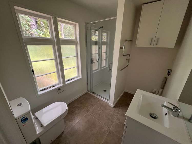 Whatipu Road Huia_28