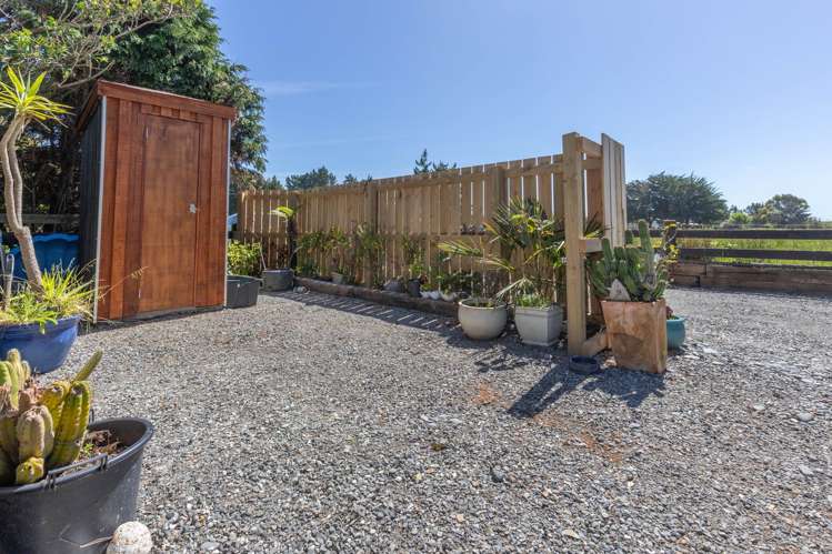 Pandora Avenue Camerons_14