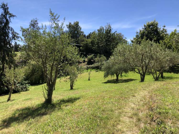 81 Pomona Road Ruby Bay_22