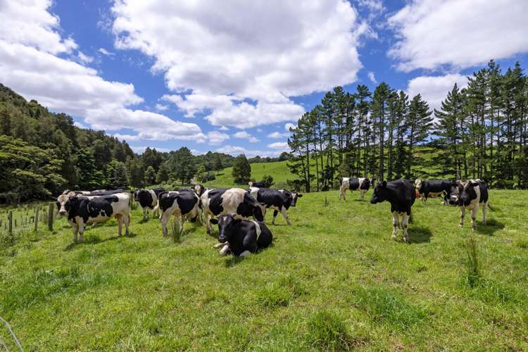 83 Kerr Road Glen Murray_8