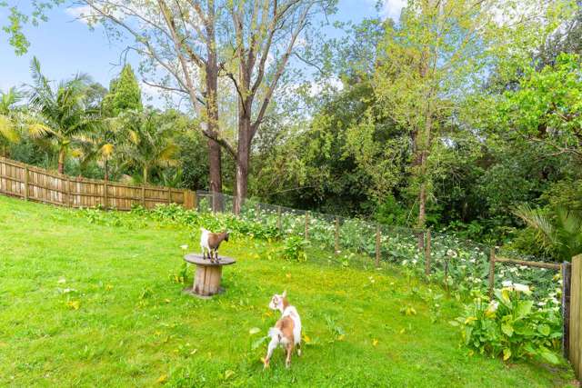 20 Clyde Street Dargaville_4