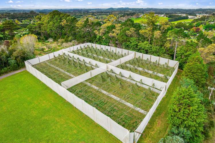 2206 State Highway 10 Kerikeri_5