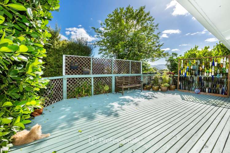 12 Dunns Street Silverstream_21