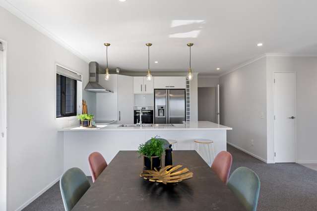 67 Albert Road Tokomaru_1