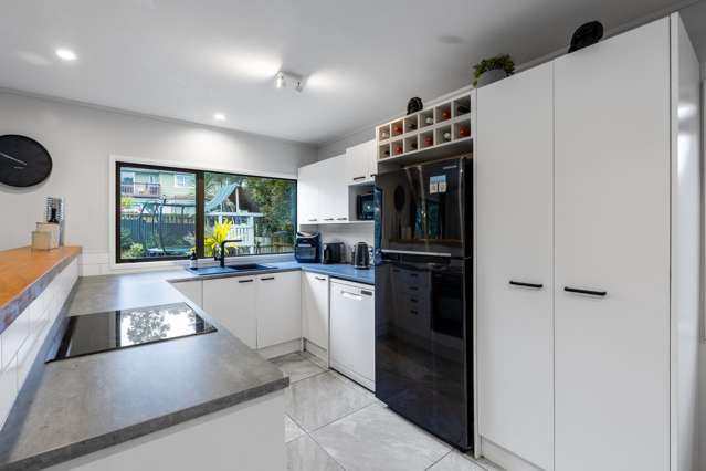 6a Kashmir Road Glen Eden_4