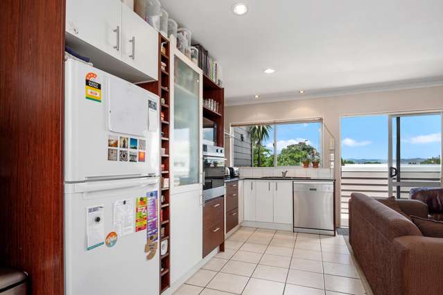 50 May Street Mount Maunganui_1