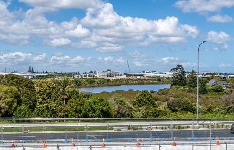 186 Ti Rakau Drive Pakuranga Heights_15