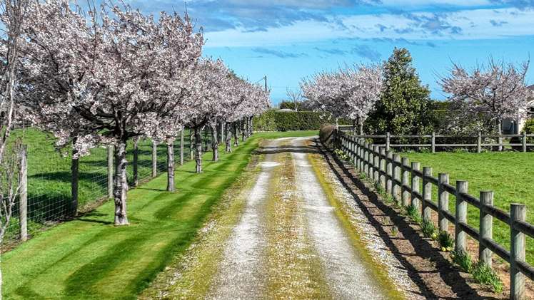 24 Mckinnon Road Edendale_40