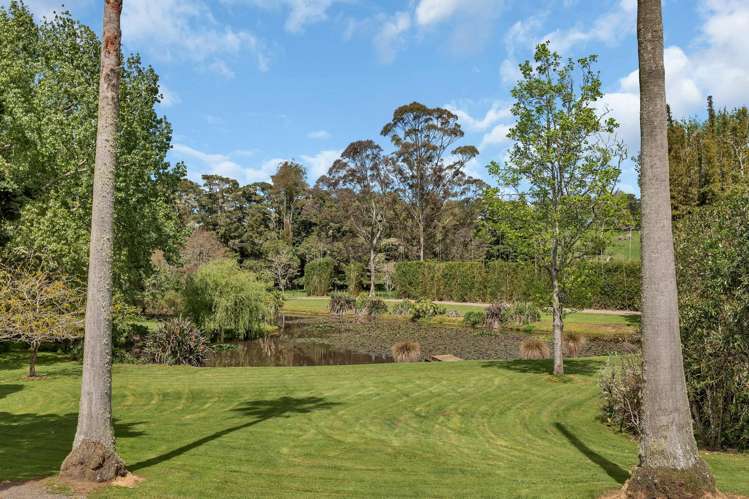 90 Mckinley Road Kokopu_36