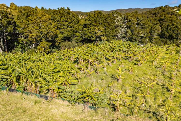 173 Prescott Road Ruakaka_10
