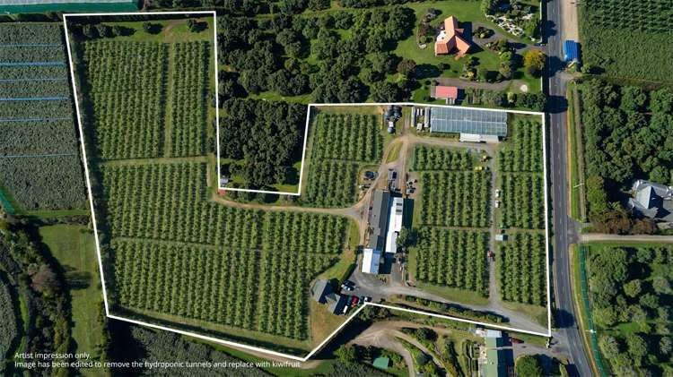 107 Ongare Point Road Katikati_3