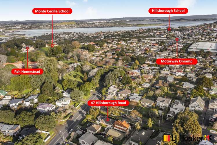 47 Hillsborough Road Hillsborough_18