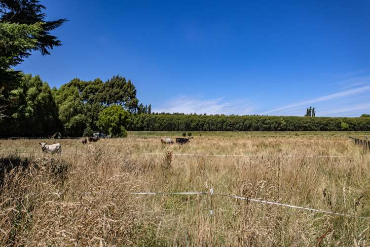 24 Greigs Road Clarkville_19