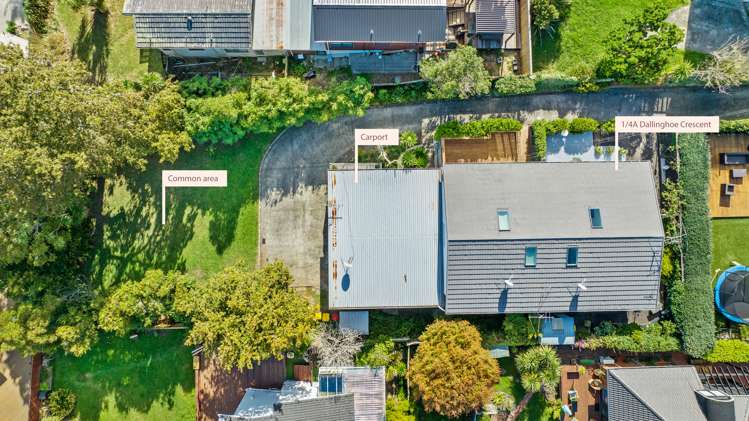 1/4a Dallinghoe Crescent Milford_20