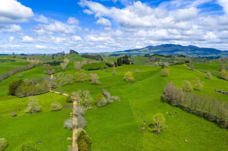 4/366 Karapiro Road Karapiro_9