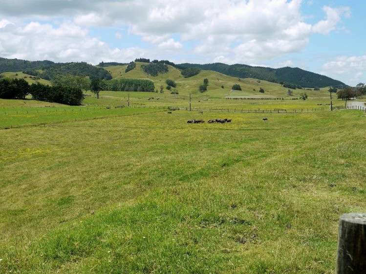 1004 Opanake Road Dargaville Surrounds_9