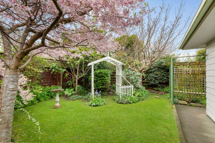 37b Karamu Street Tawhero_15