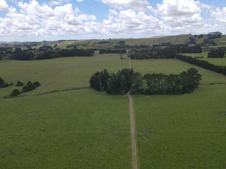 220 Larsen Road Eketahuna_14