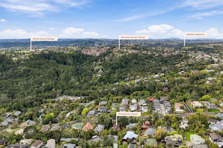 82 Balmain Road Chatswood_9