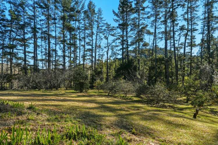 1040 Fisher-Riley Road Kaingaroa_31