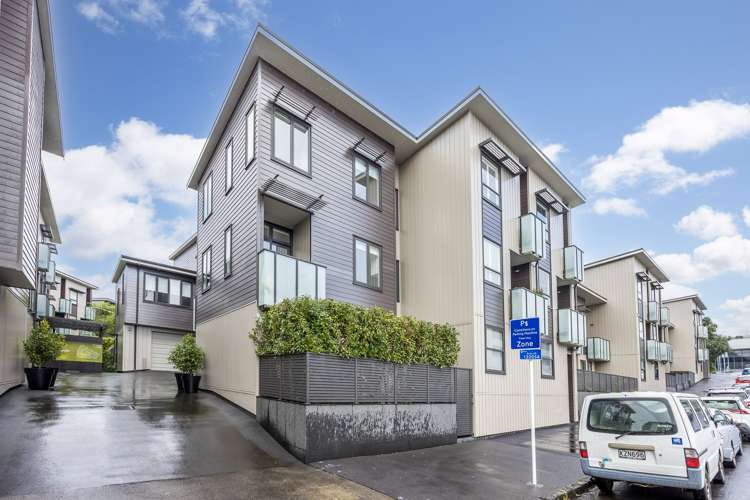 106 Harold Street Mount Eden_13