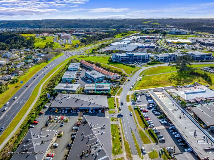 A4, 17 Corinthian Drive Albany_12