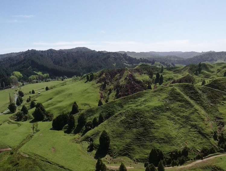 167 Whenuakura Road Waimiha-Ongarue_9