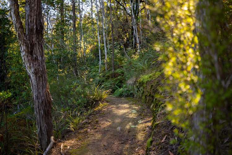 22 Herring Stream Road Motueka Valley_31