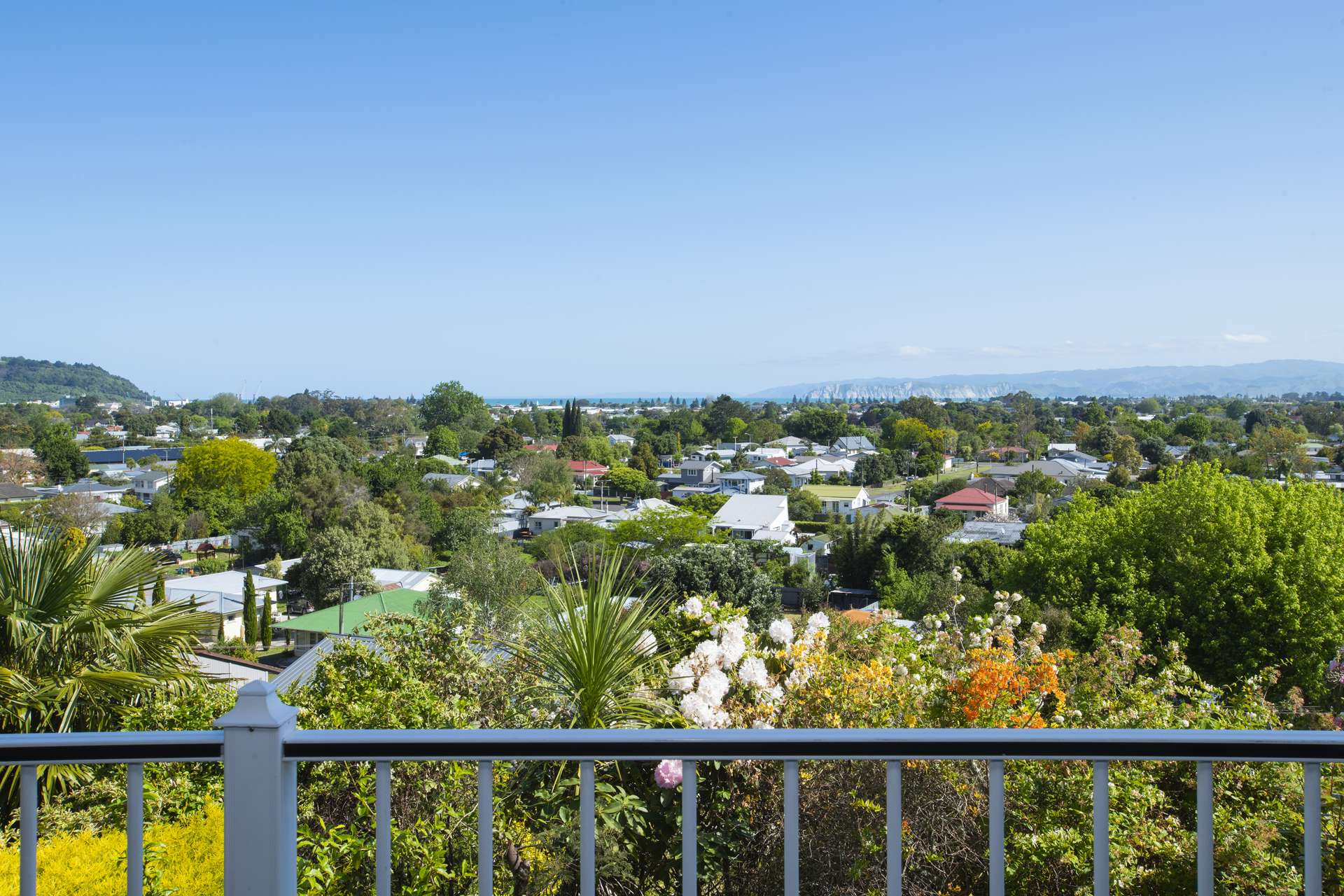 3 Belgium Terrace Mangapapa_0