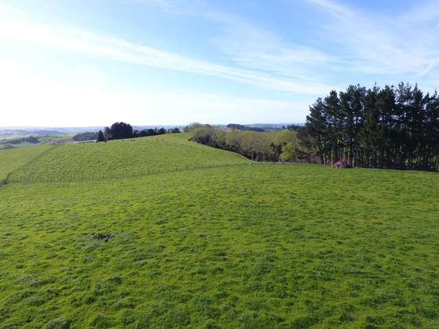 167B Tate Road Te Kuiti_4