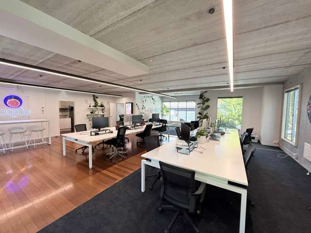 2 Picton Street Ponsonby_2