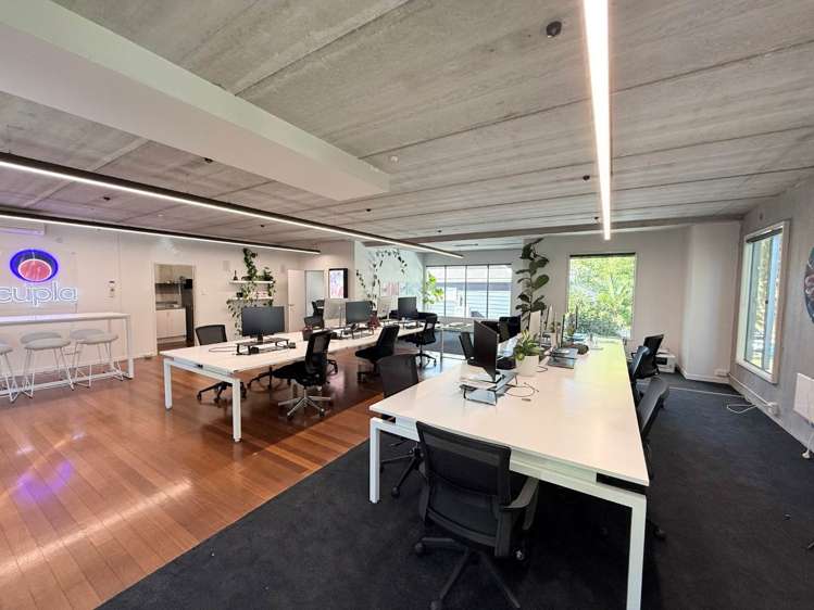 2 Picton Street Ponsonby_2