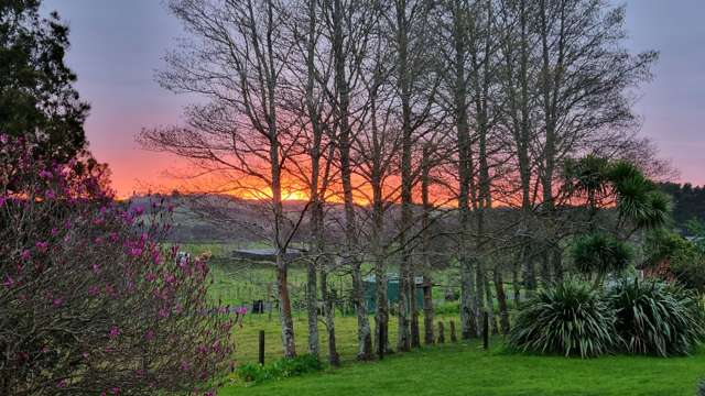 87 Lee Road Onewhero_3