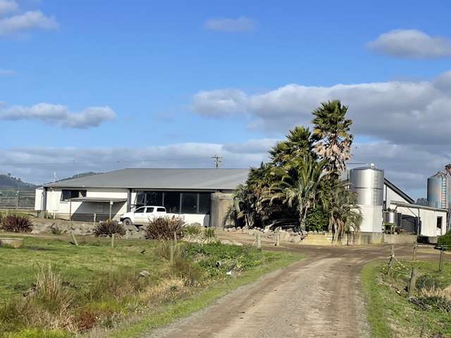 251 Apotu Road Kauri_2