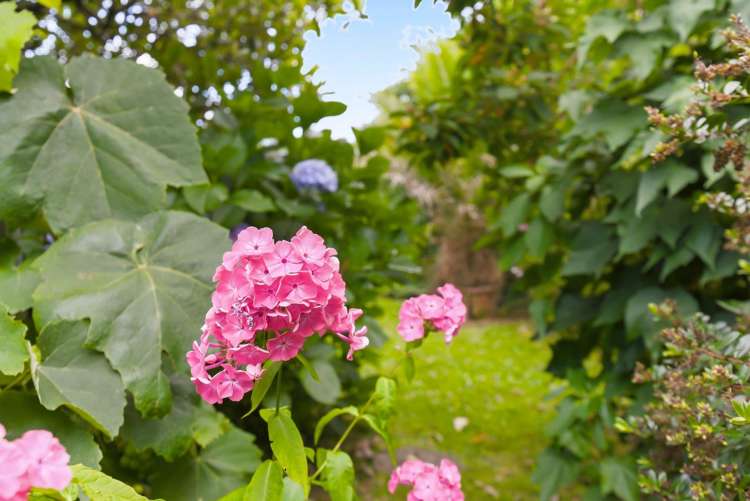 75 Liverpool Street Levin_27