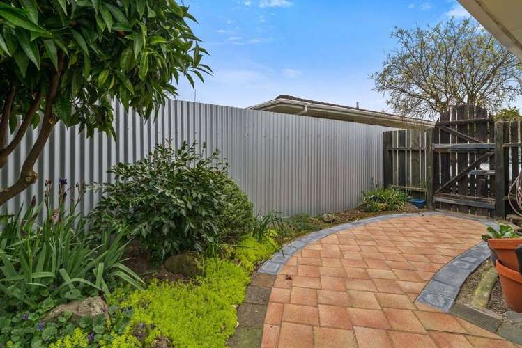 41a Robertson Street Glenholme_20