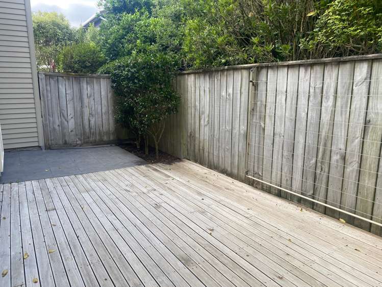 10e Trafalgar Street Johnsonville_9