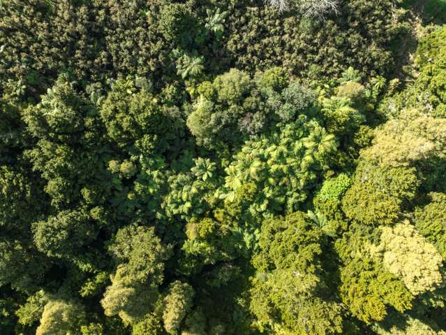 46 Crossett Road Ruatangata_2