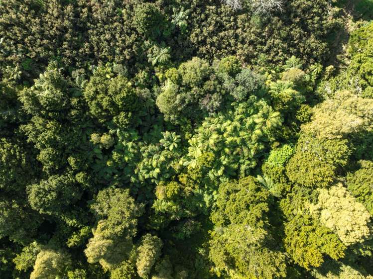 46 Crossett Road Ruatangata_2