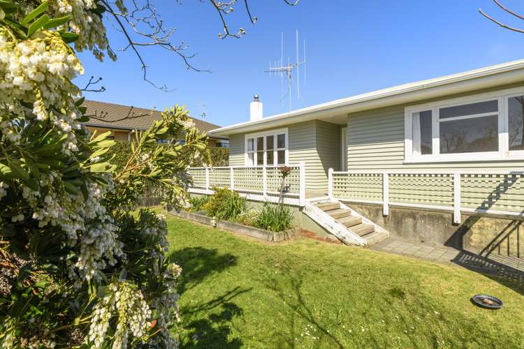 22 Maitland Street Greerton_13