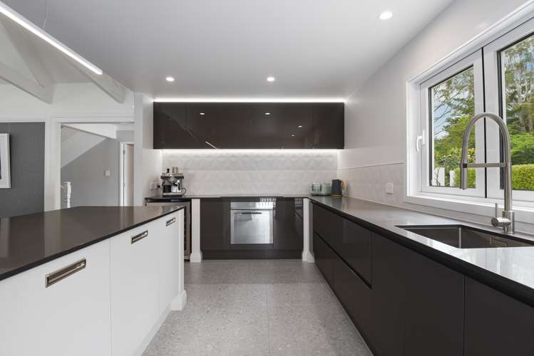 33 Moncur Drive Springfield_11