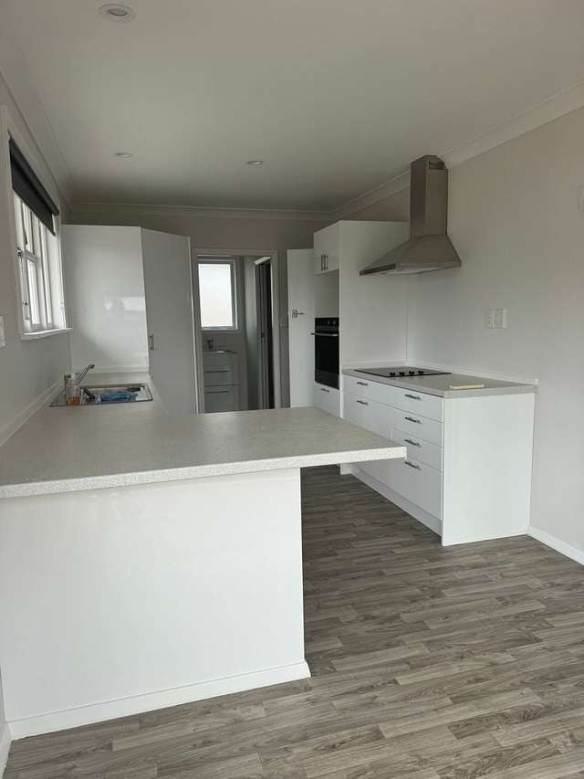 26B Wilton Street Levin_3