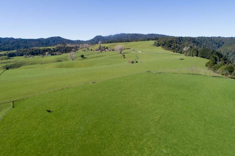 628 Pakaraka Road Kaimai Mamaku Conservation Park_5