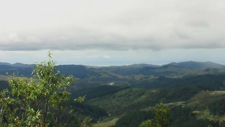 196 Griffiths Road Ruatoria_4