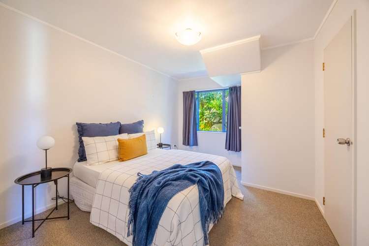 7A Latham Street Napier South_11