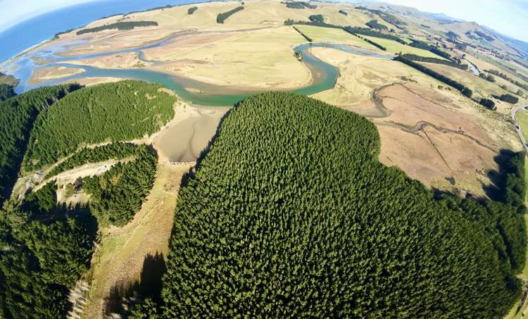 Shag Point Road Palmerston_9