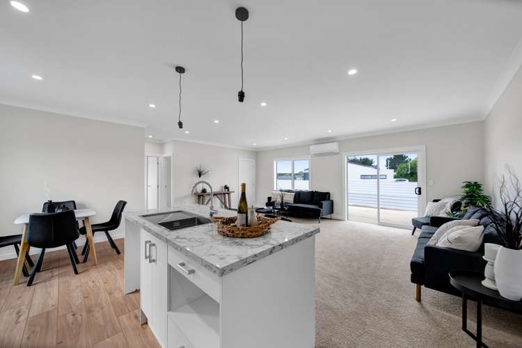 22 Hobson Street Normanby_5